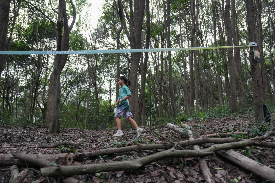 物园开赛, gtimg 物园开赛, gtimg