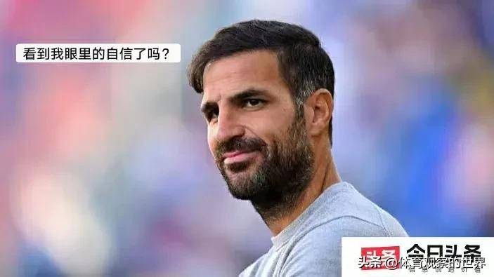 请来法布雷, style